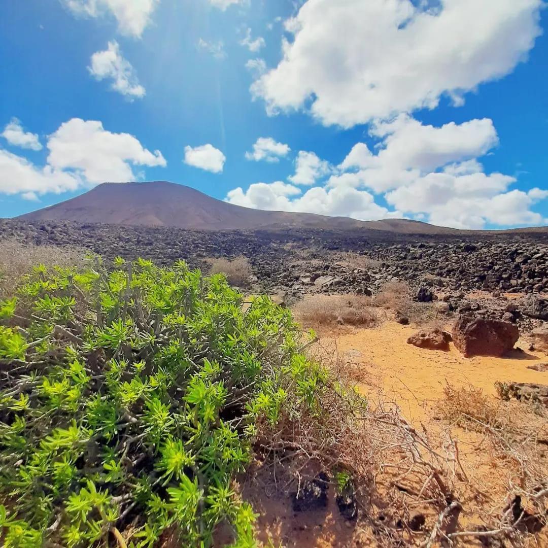 شقة Casa Alma Corralejo Bristol المظهر الخارجي الصورة